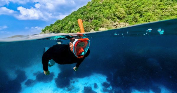 Máscaras de snorkel y mucho más