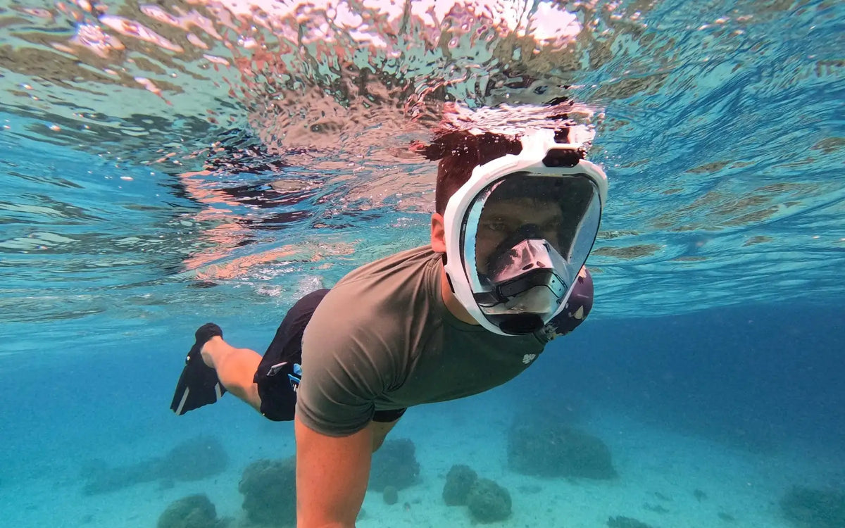 Schnorcheln auf Teneriffa: Schildkröten & die 10 besten Spots
